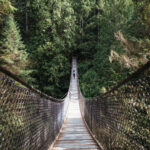 walking-bridge